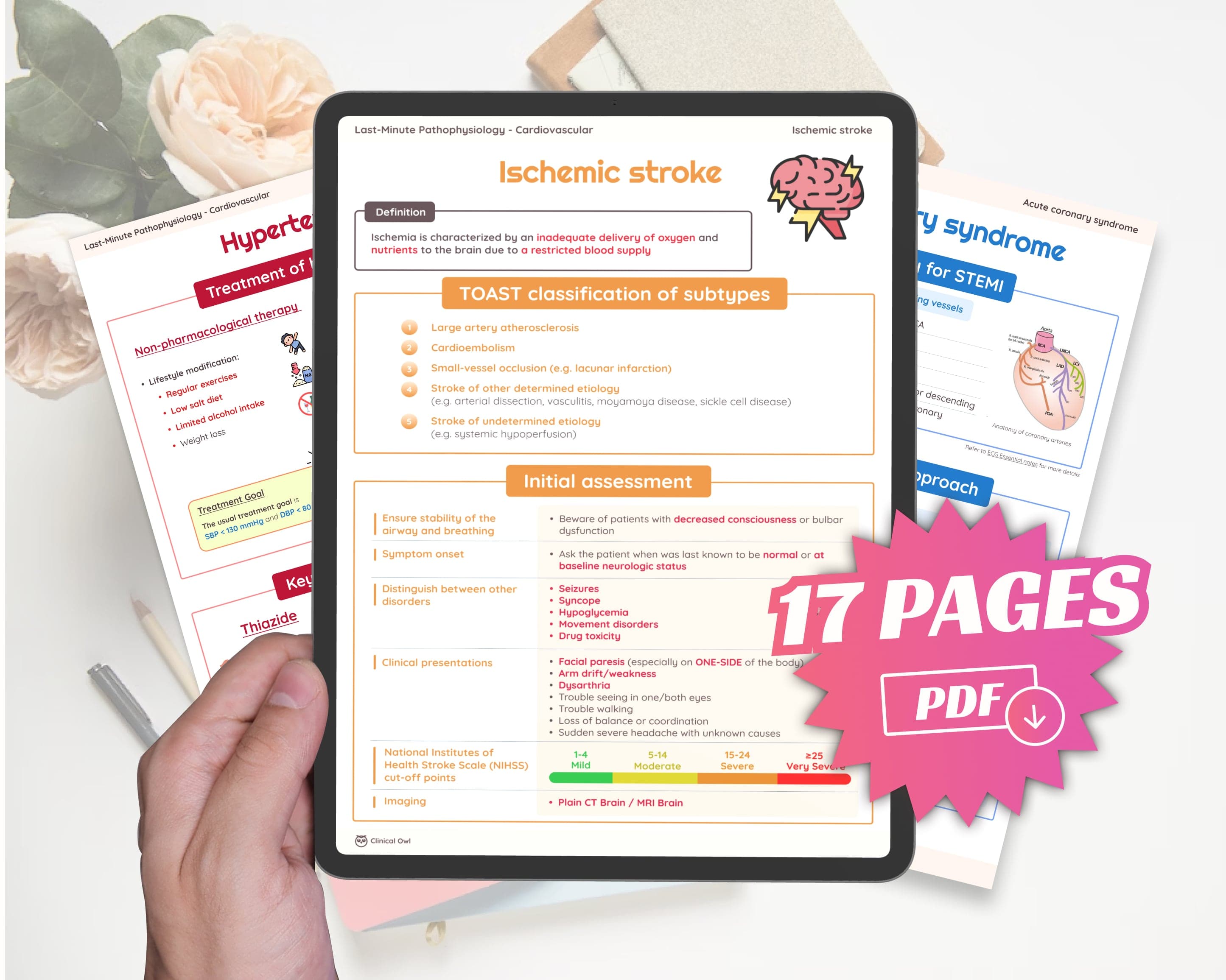 17 pages: Cardiovascular Pathophysiology