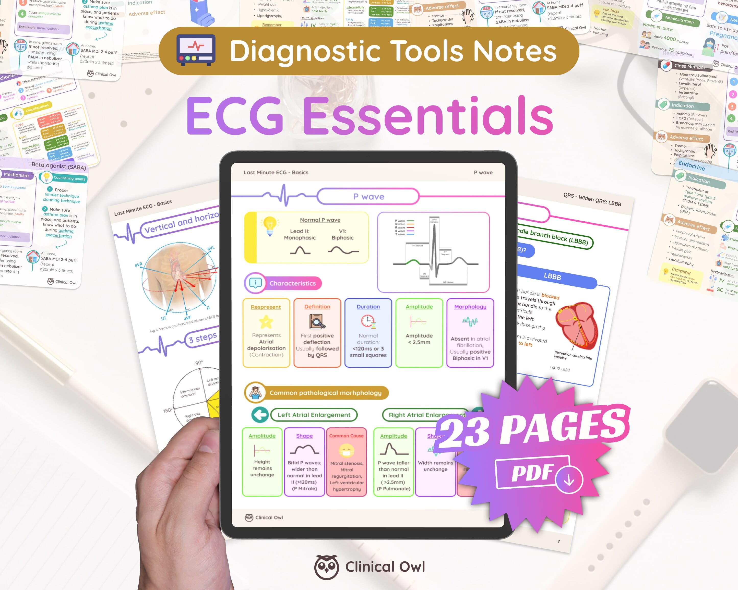 23-page summary of all the key information you need to know about ECG.