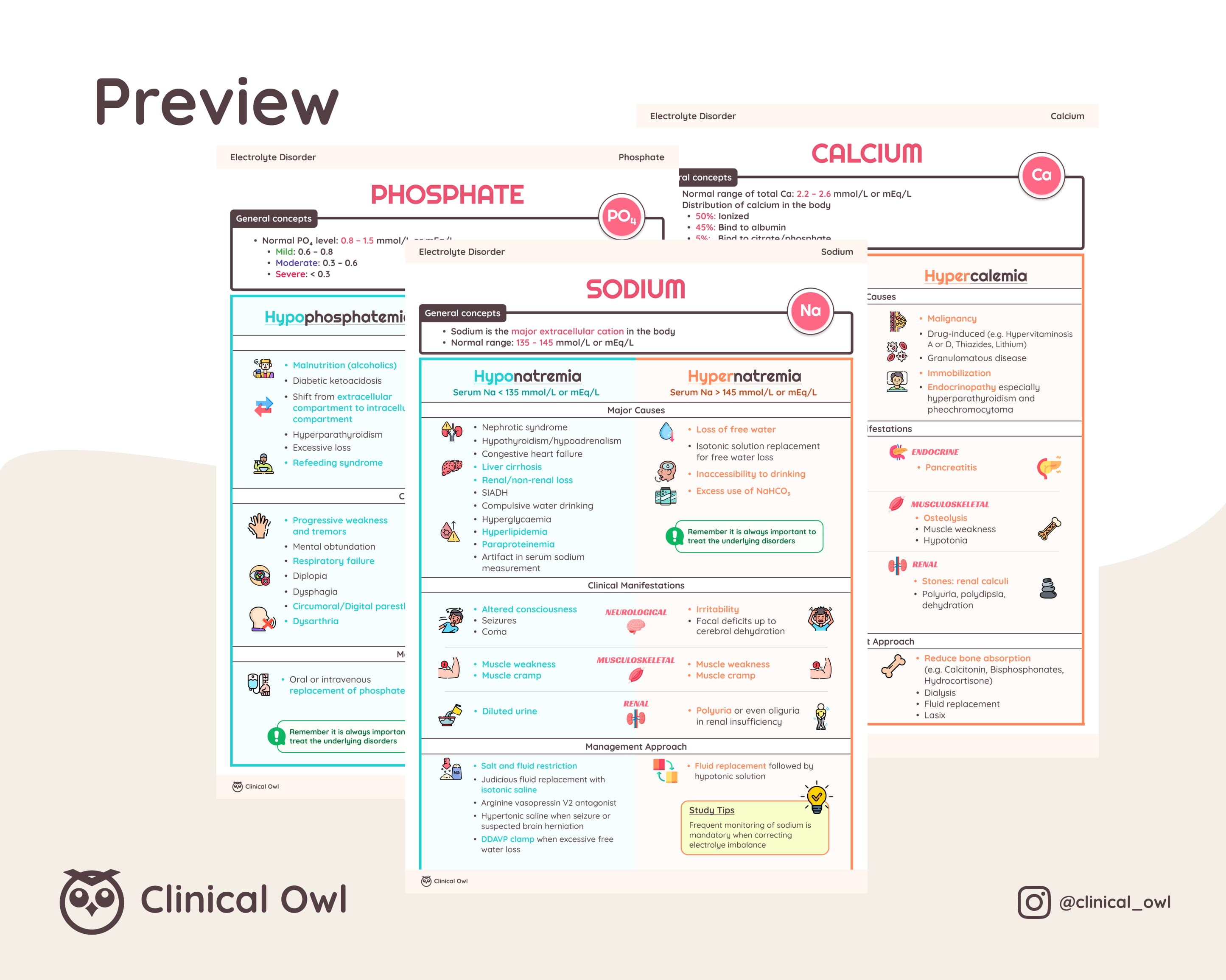 Here is an image preview of how the summary notes will look like