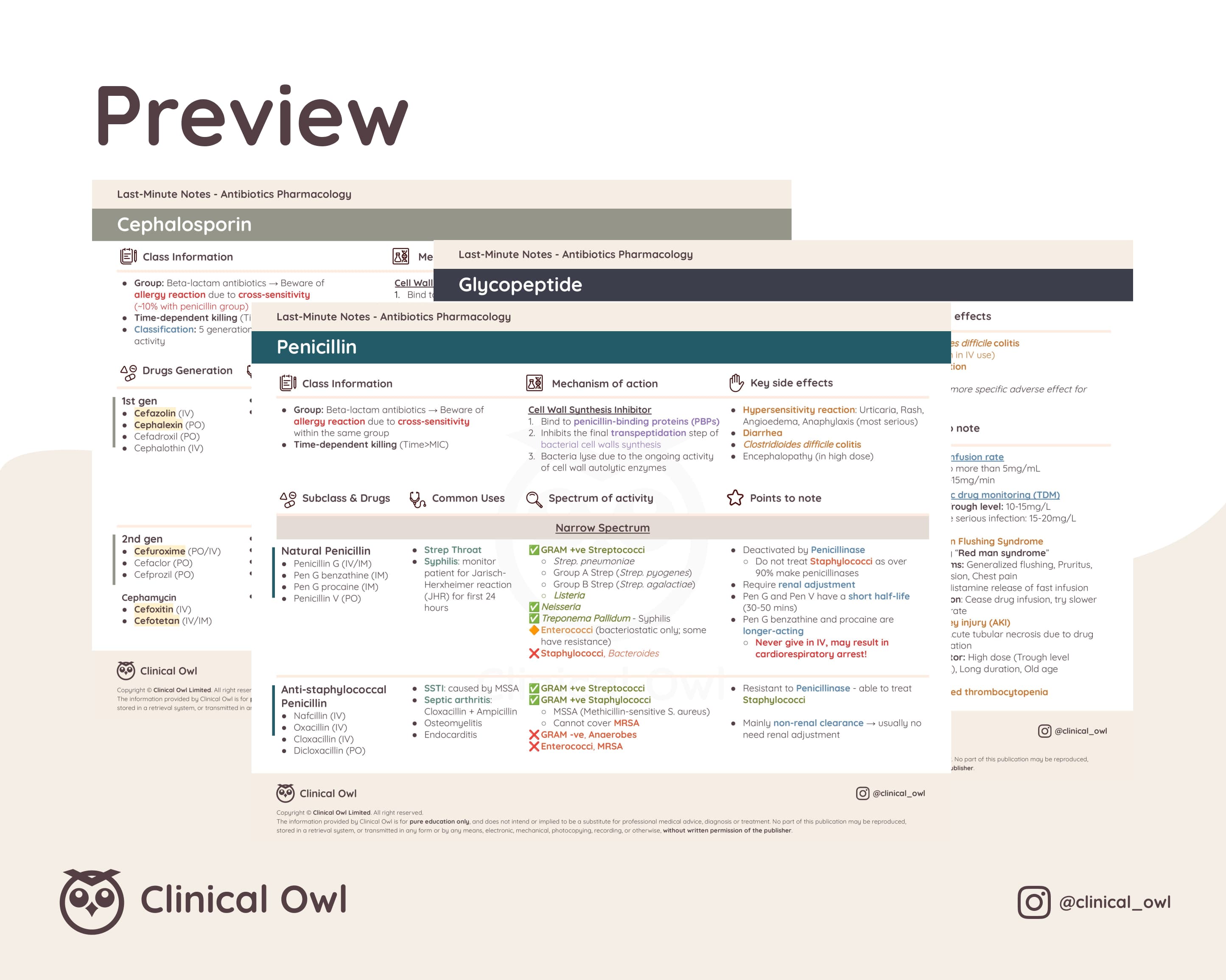 Here is an image preview of how the summary notes will look like