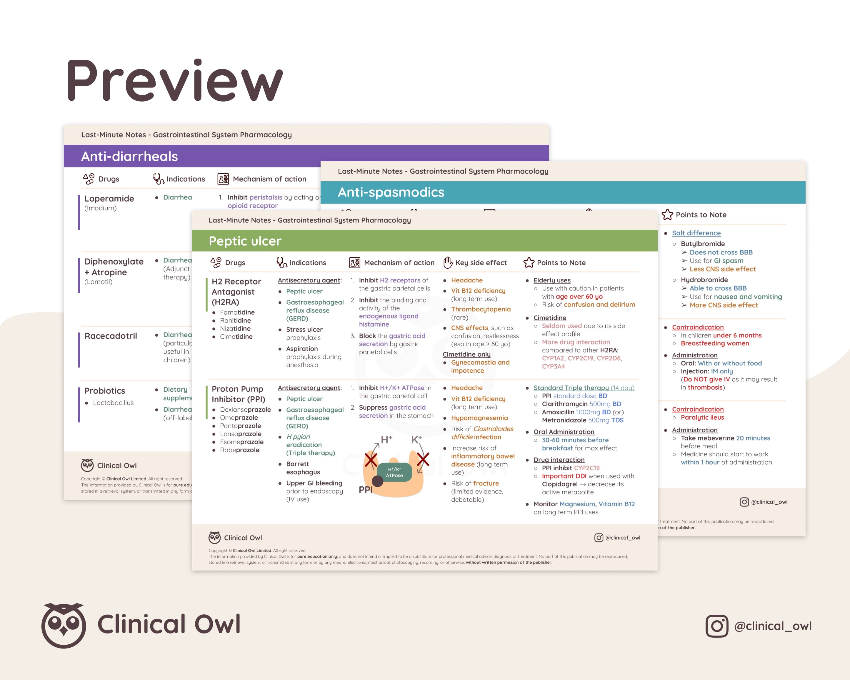 Here is an image preview of how the summary notes will look like
