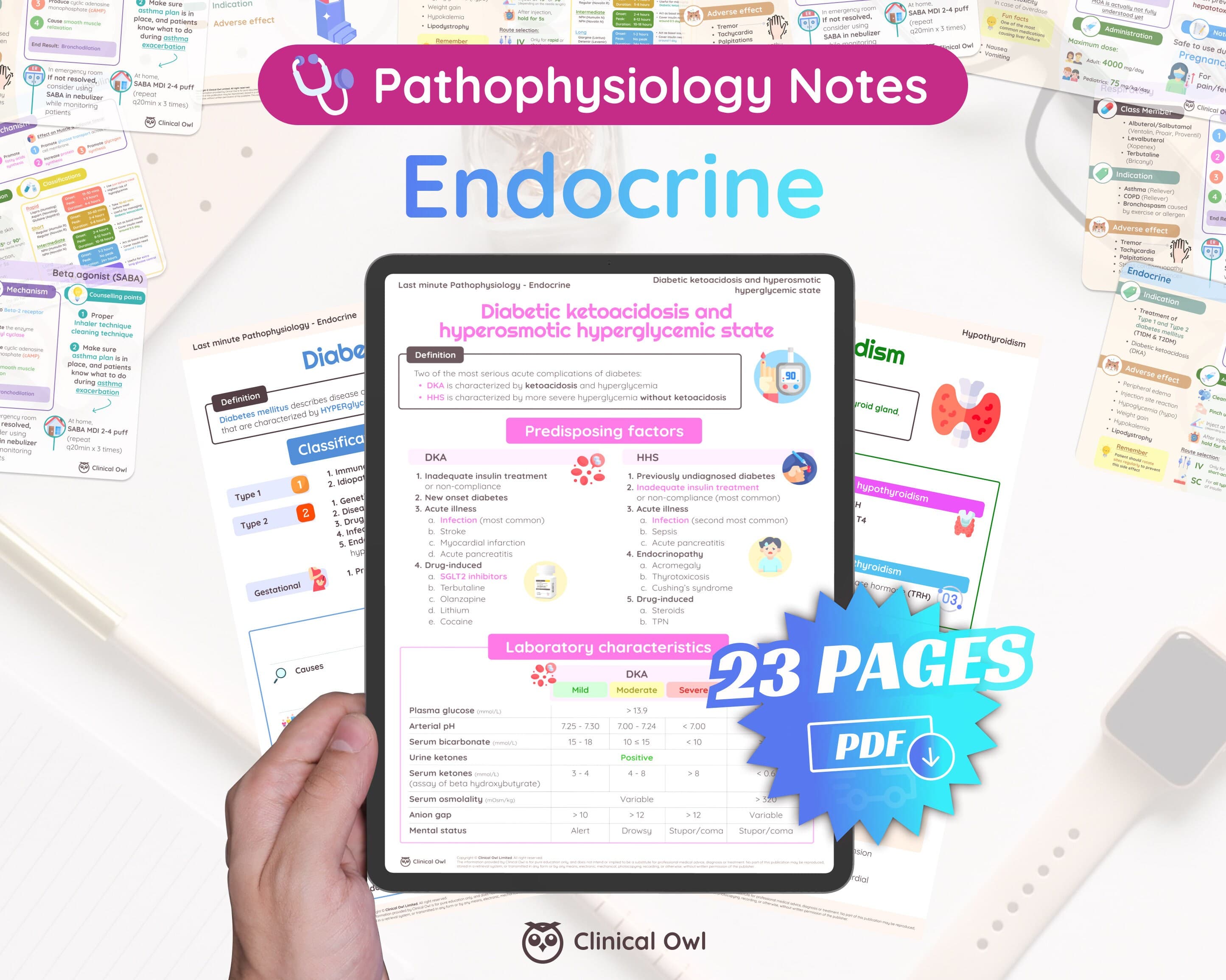23 pages summary covering the most important endocrine conditions