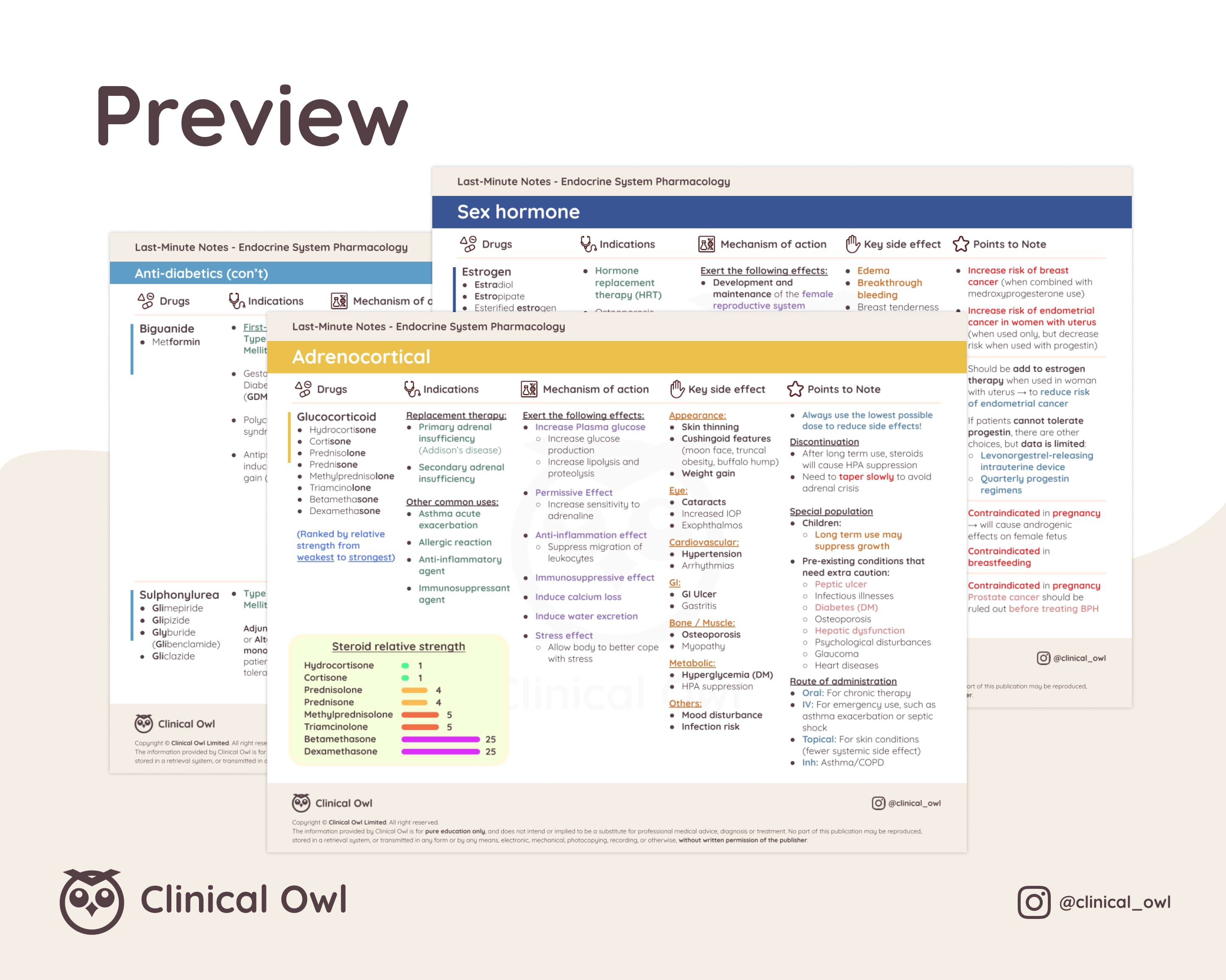 Here is an image preview of how the summary notes will look like