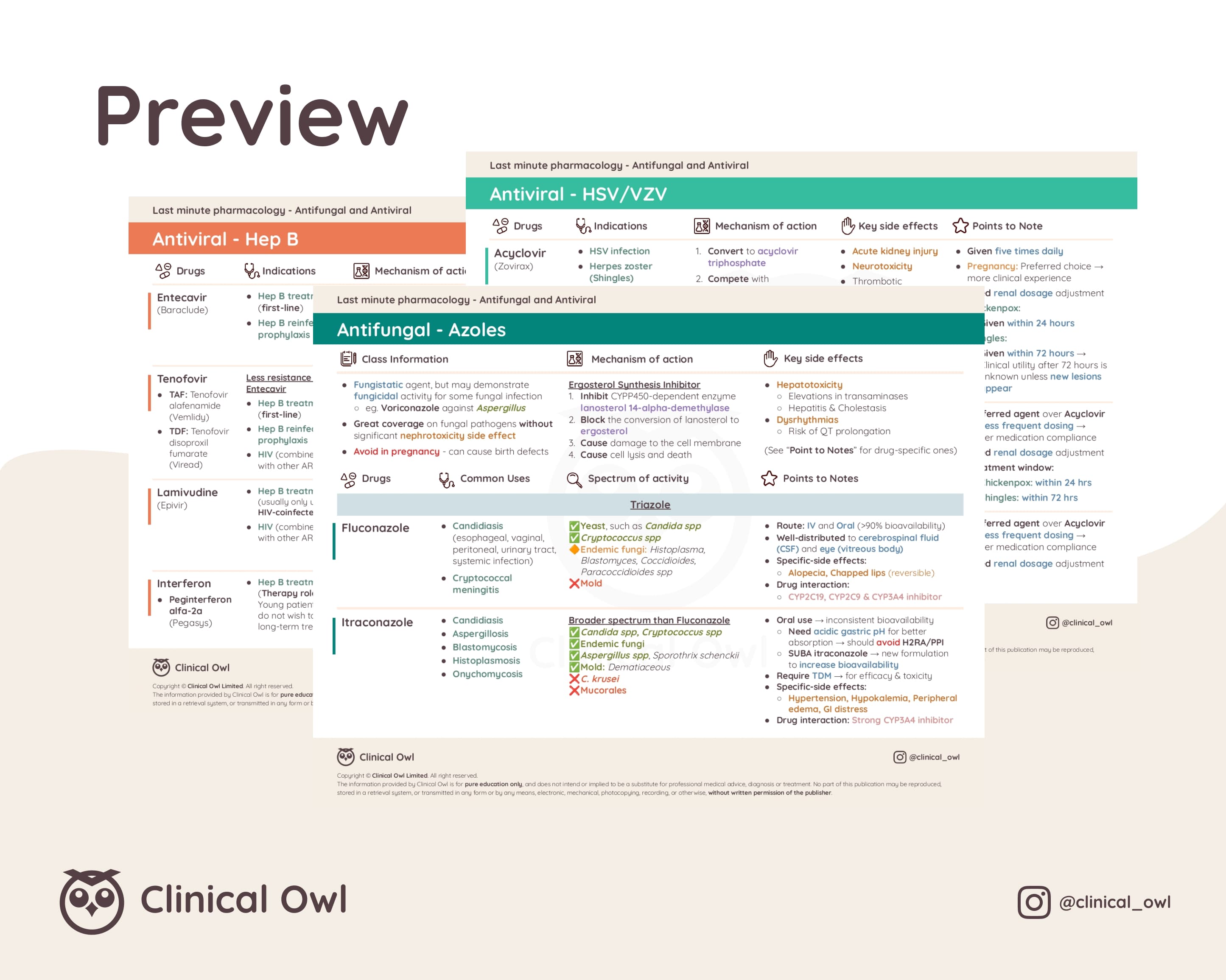Here is an image preview of how the summary notes will look like