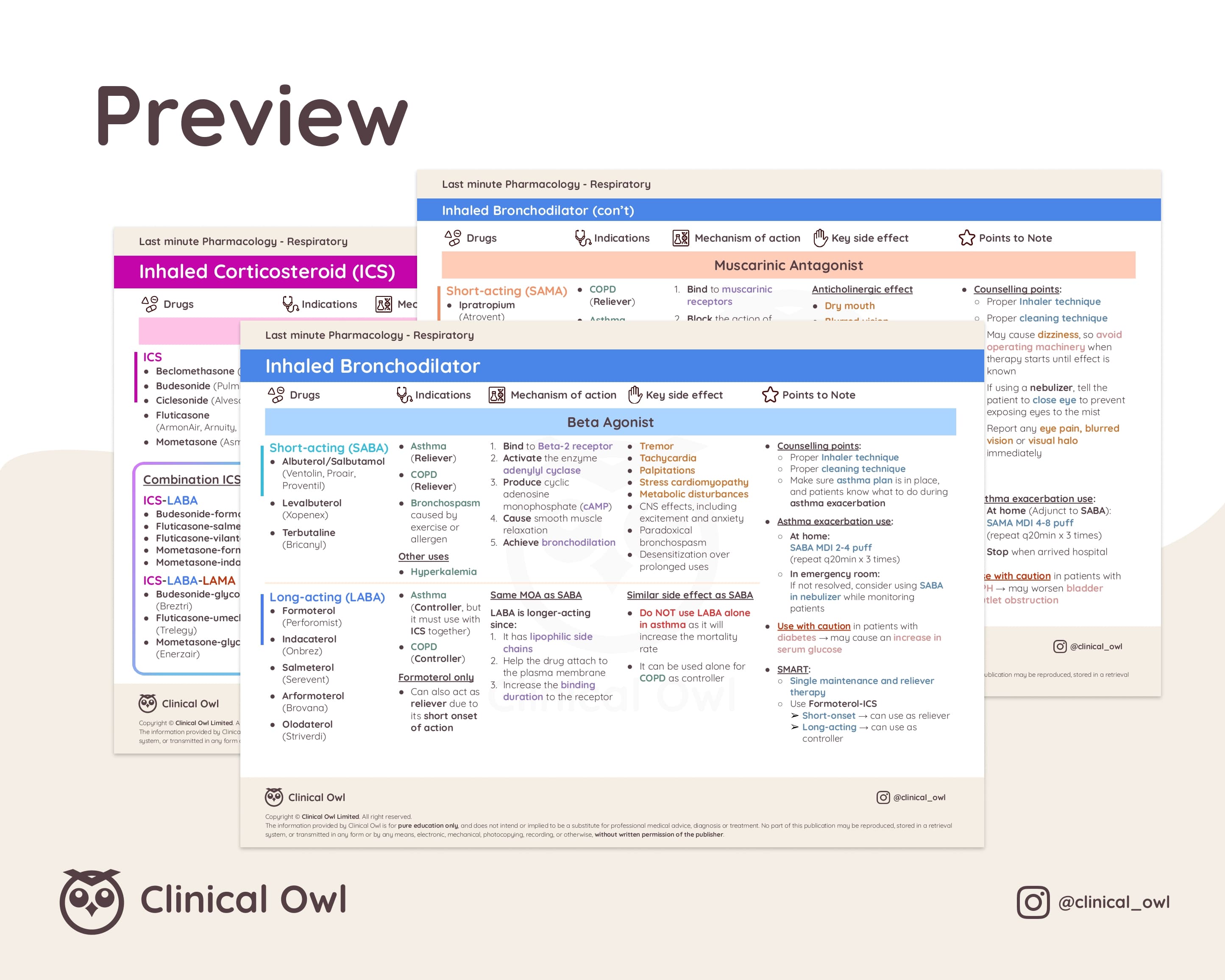 Here is an image preview of how the summary notes will look like