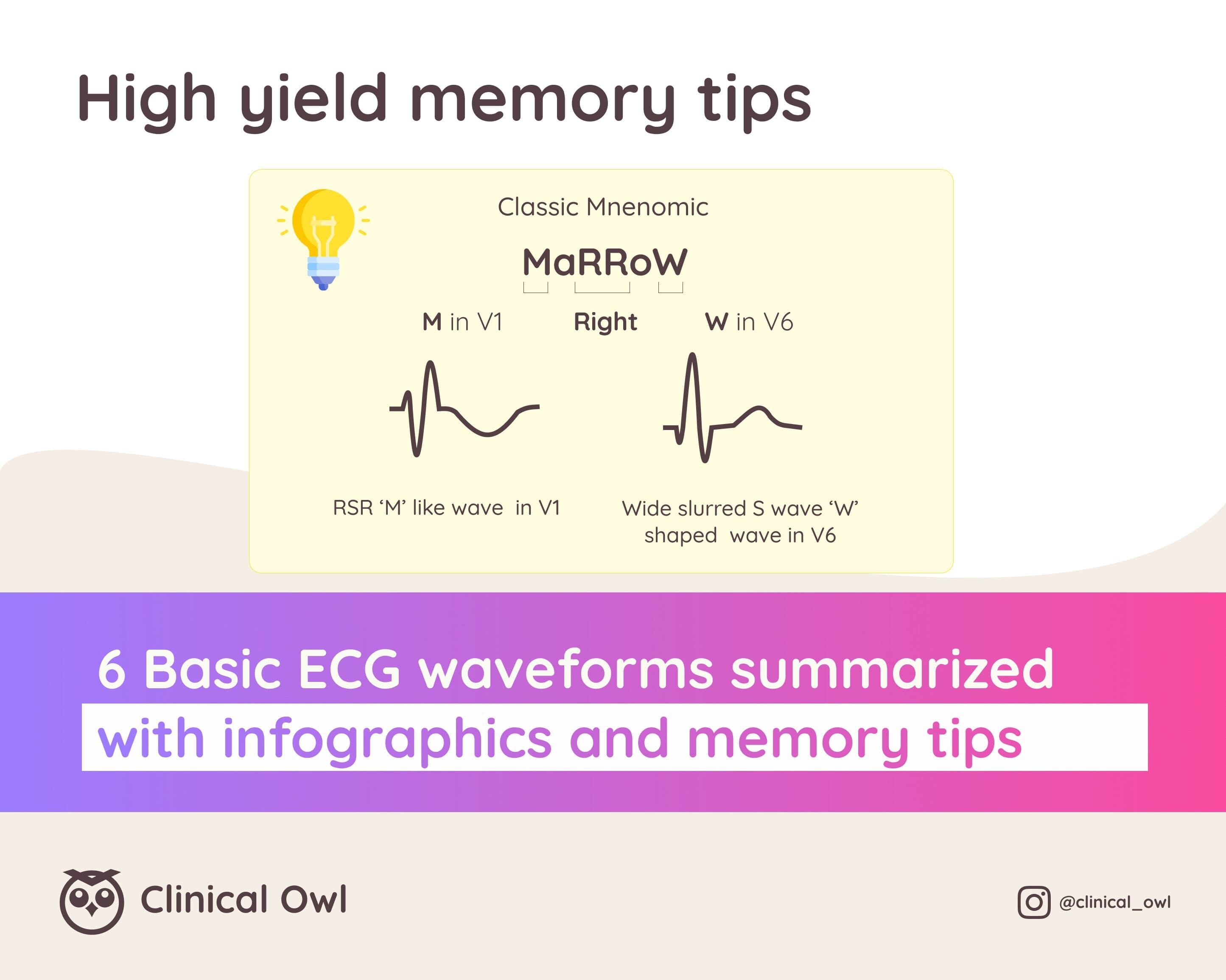 Apart from the study notes content, we also include high-yield memory tips to aid your study