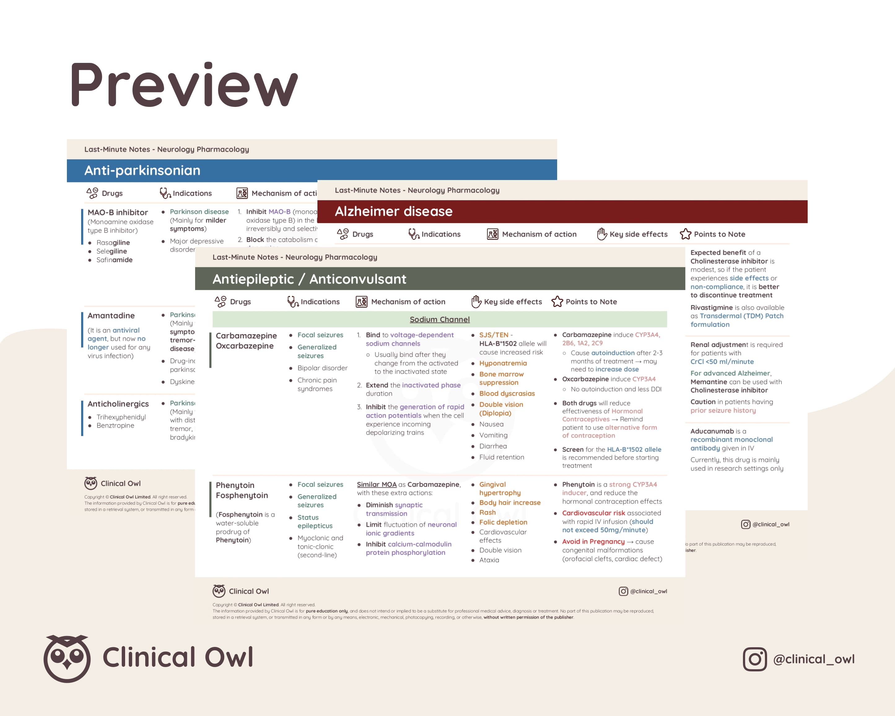 Here is an image preview of how the summary notes will look like