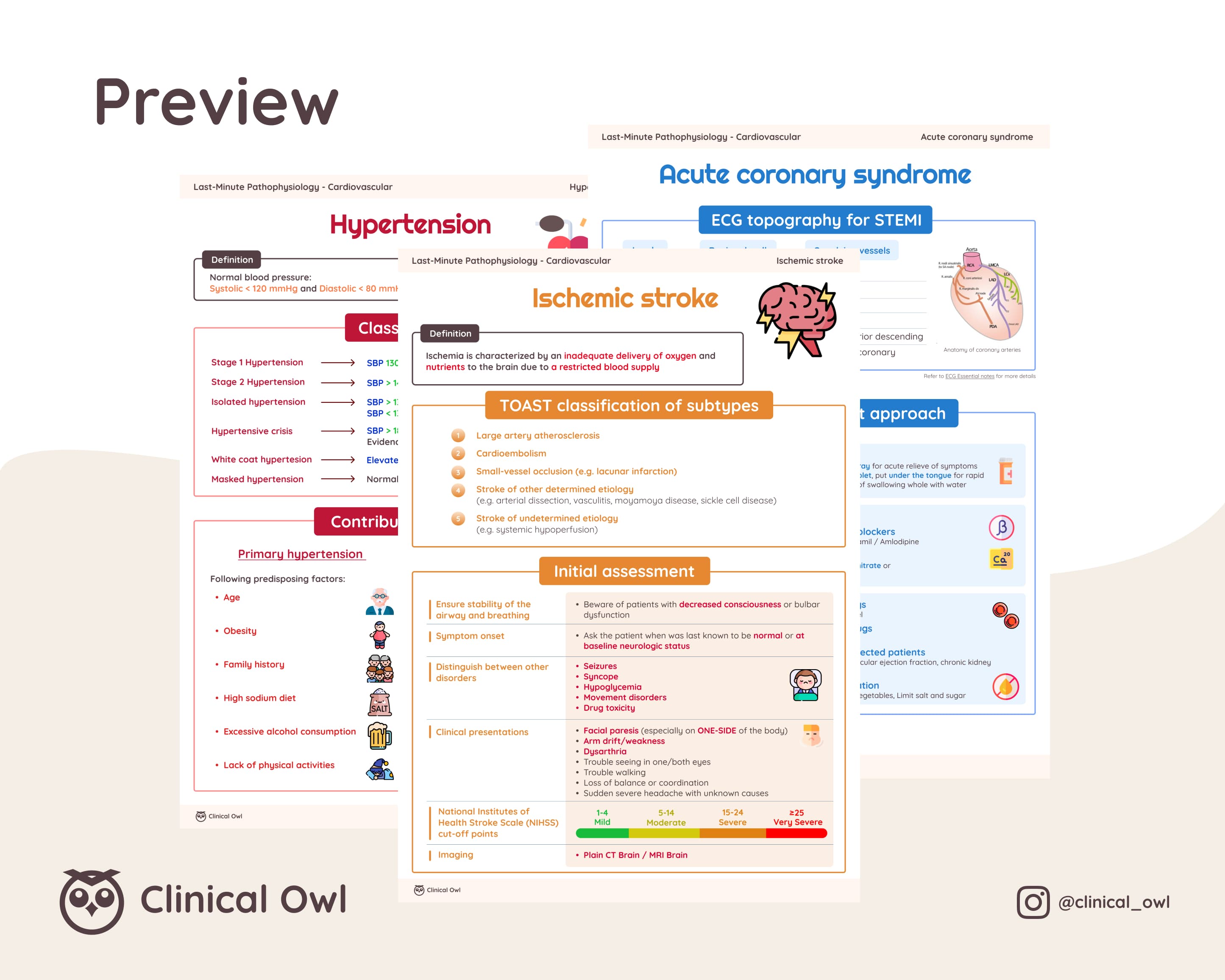 Here is an image preview of how the summary notes will look like