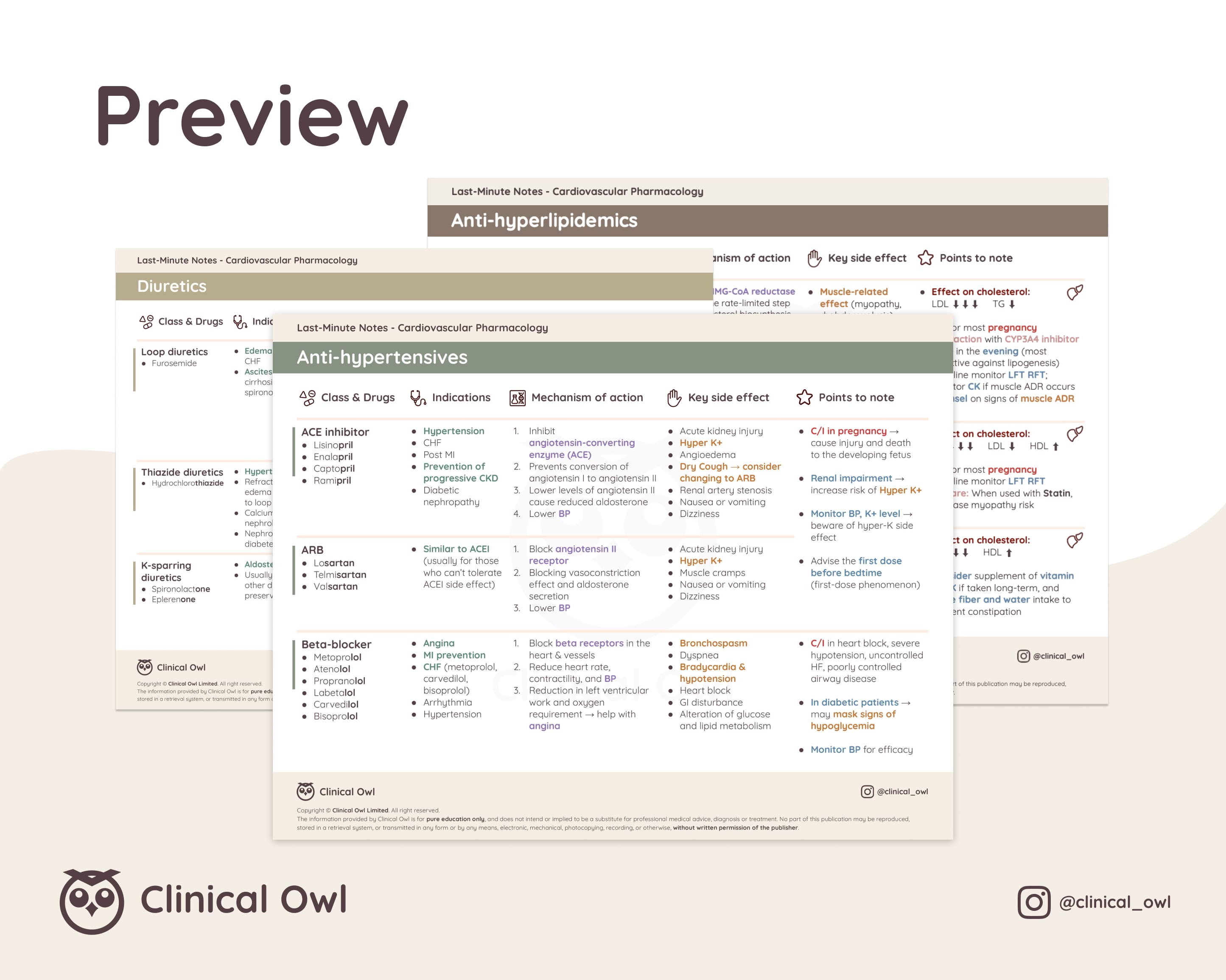 Here is an image preview of how the summary notes will look like