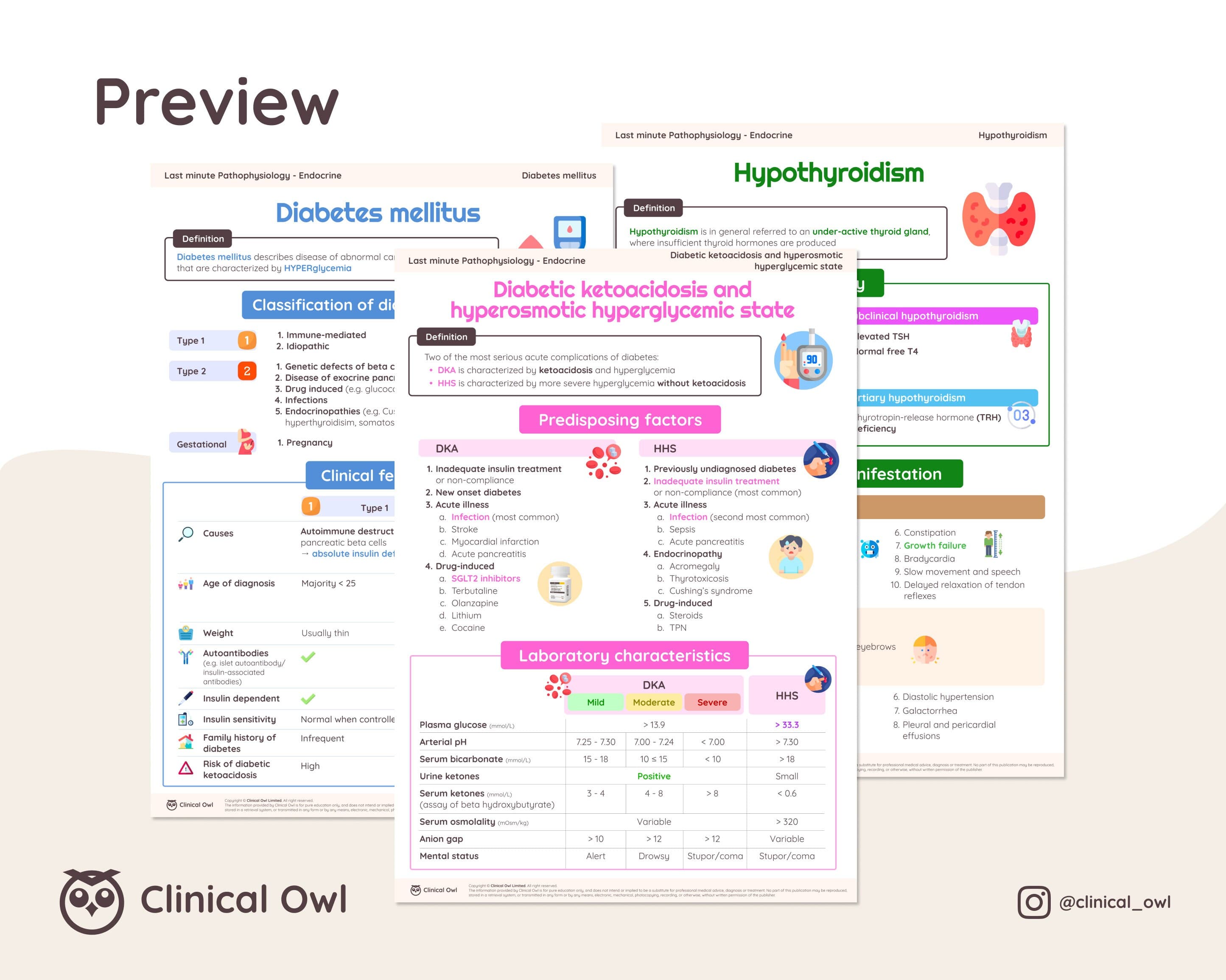 Click on the image here to get a preview of the study notes